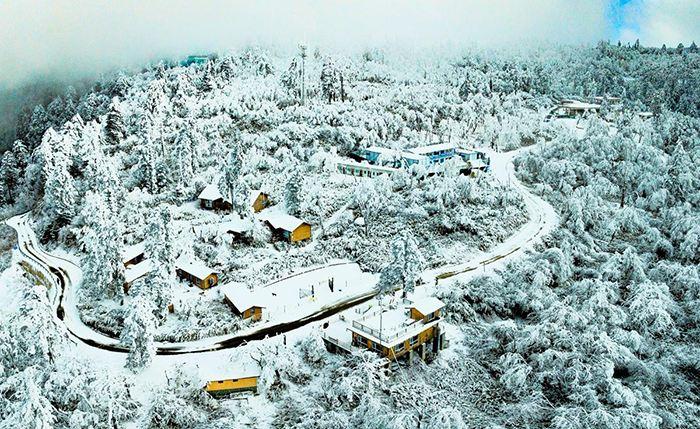 飞雪与雾凇交相辉映王岗坪雪景美不胜收